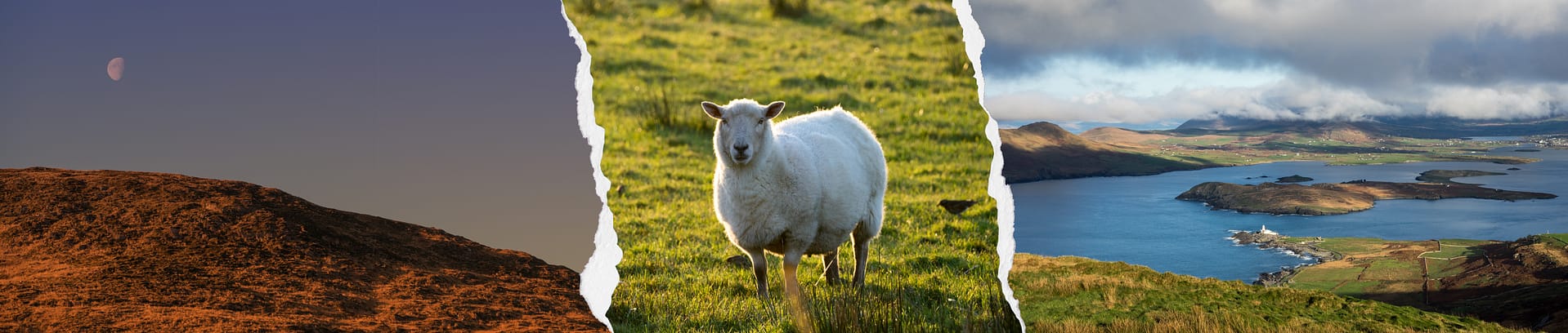 Ferienhaus Irland Impressionen